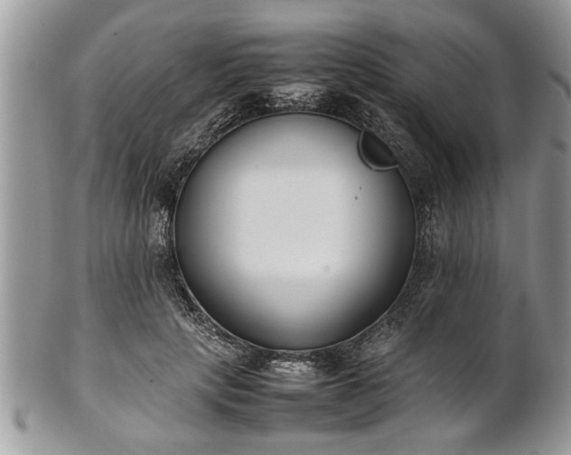 X0000101220649200807071349