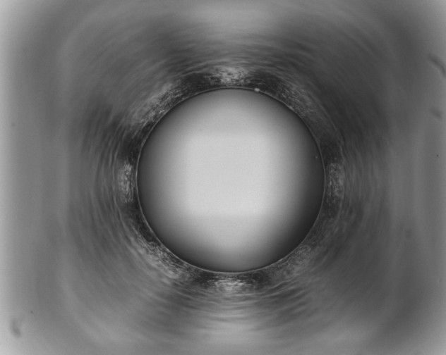 X0000101220650200807071349