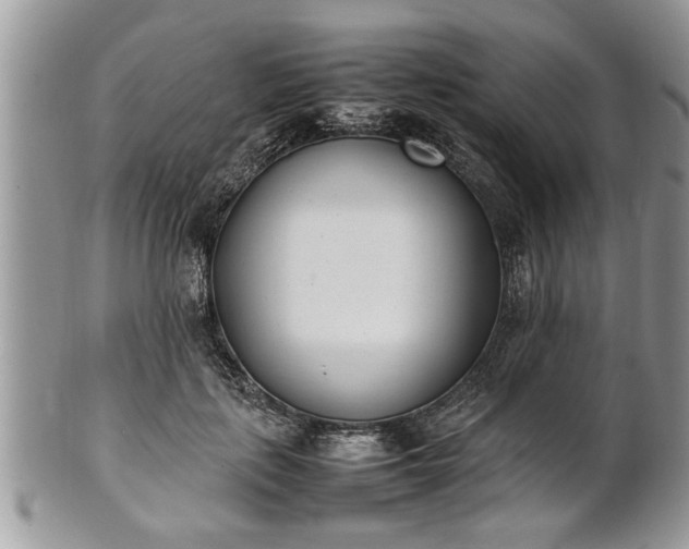 X0000101220651200807071349