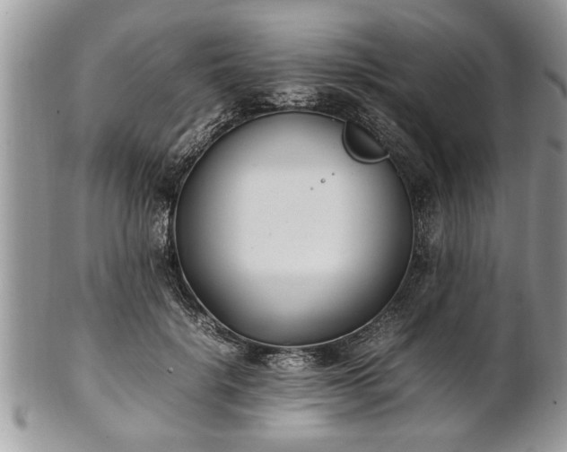 X0000101220652200807071349