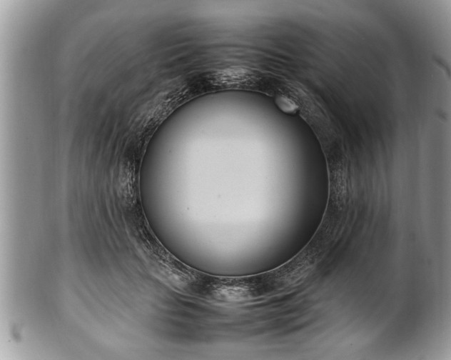 X0000101220653200807071349
