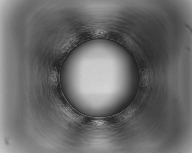 X0000101220654200807071349