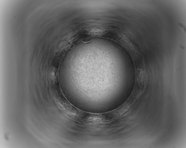 X0000101220655200807071349