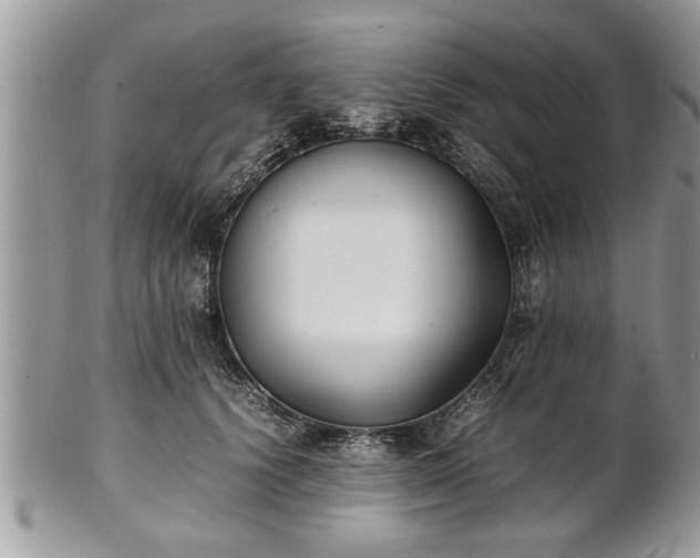 X0000101220656200807071349