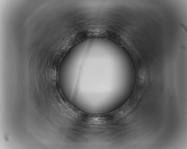 X0000101220657200807071349