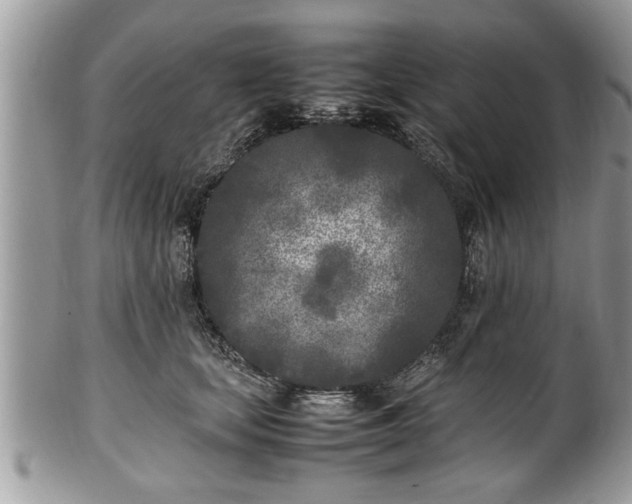 X0000101220659200807071349