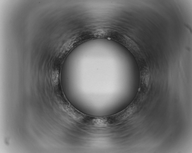 X0000101220660200807071349