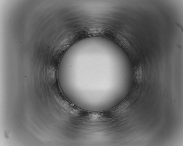 X0000101220662200807071349
