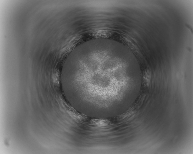 X0000101220663200807071349