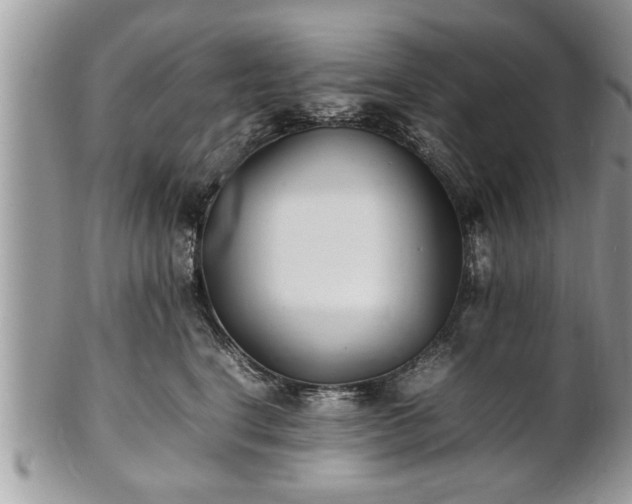 X0000101220664200807071349