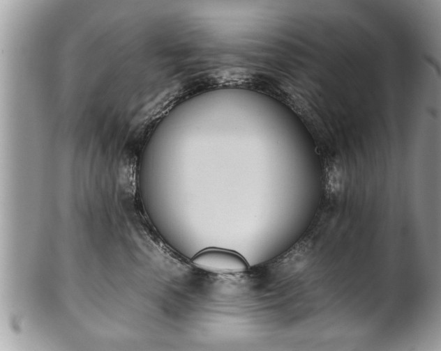 X0000101220666200807071349