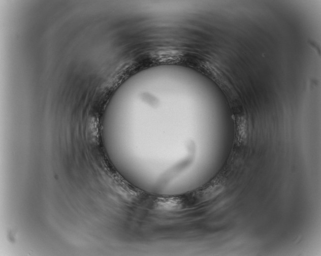 X0000101220667200807071349