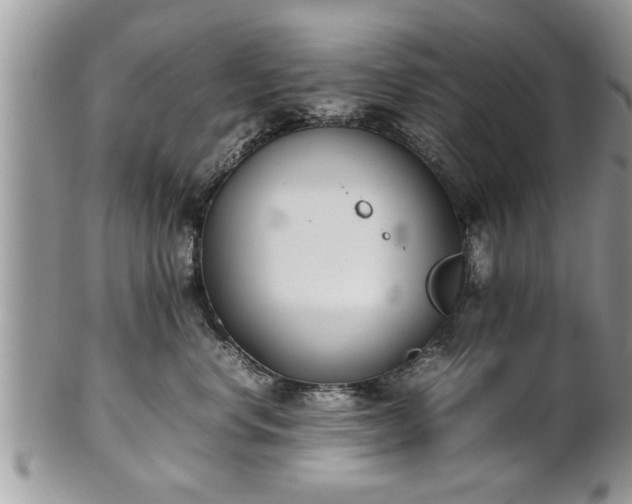 X0000101220668200807071349