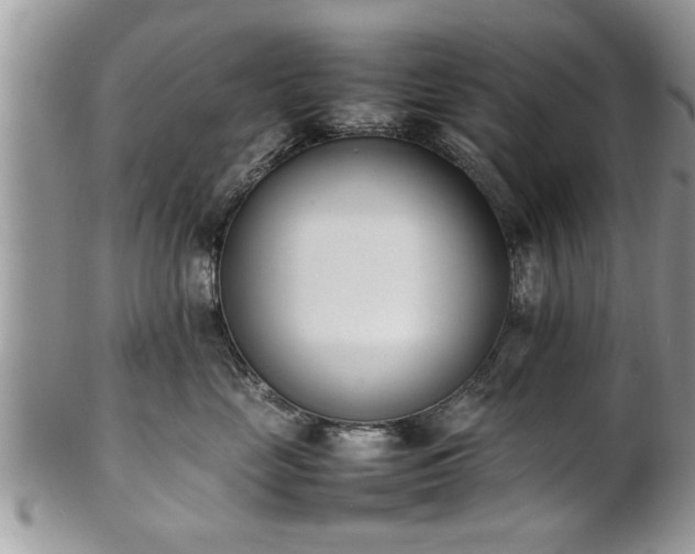 X0000101220669200807071349