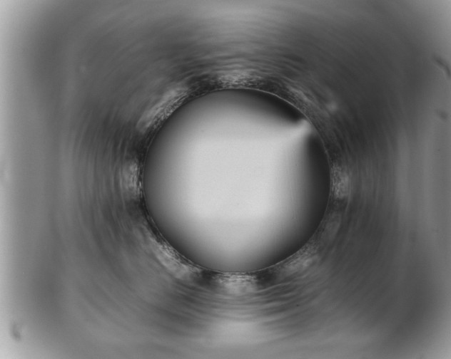 X0000101220670200807071349