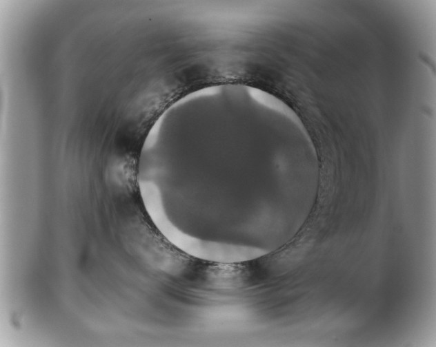 X0000101220672200807071349