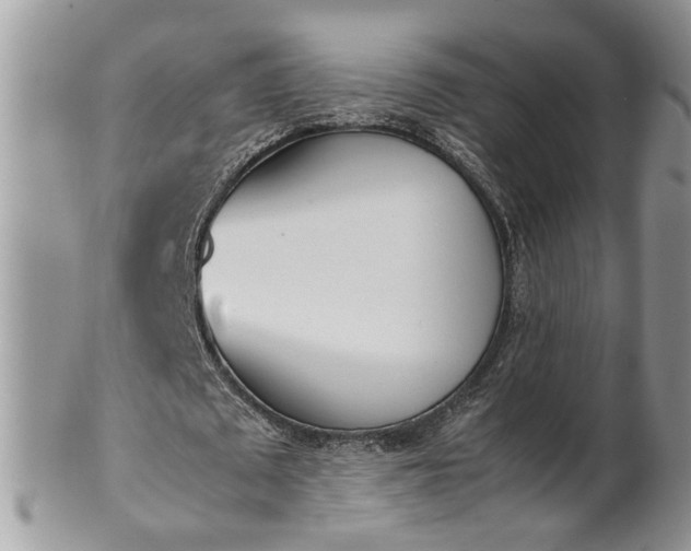 X0000101220673200807071348