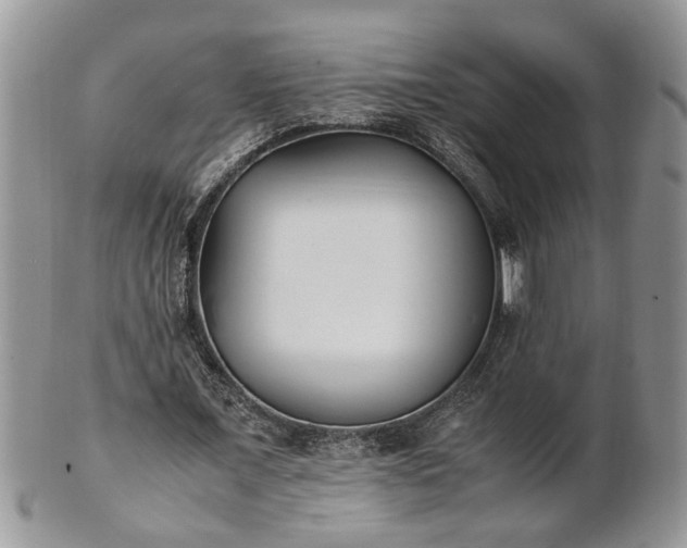 X0000101220675200807071348