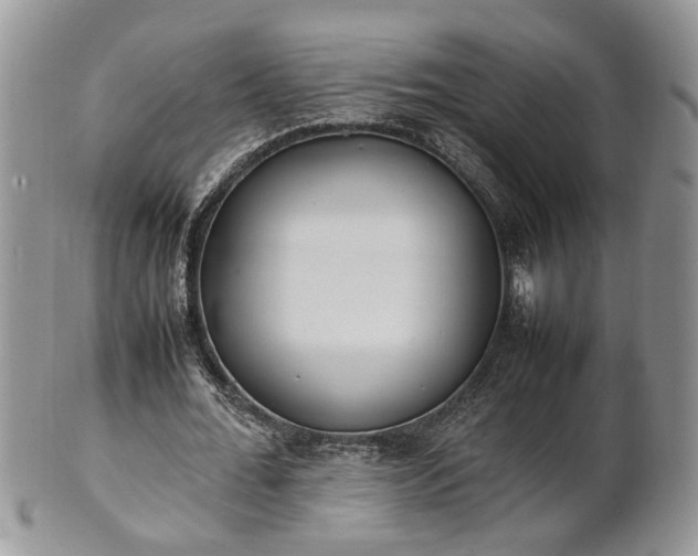 X0000101220676200807071348