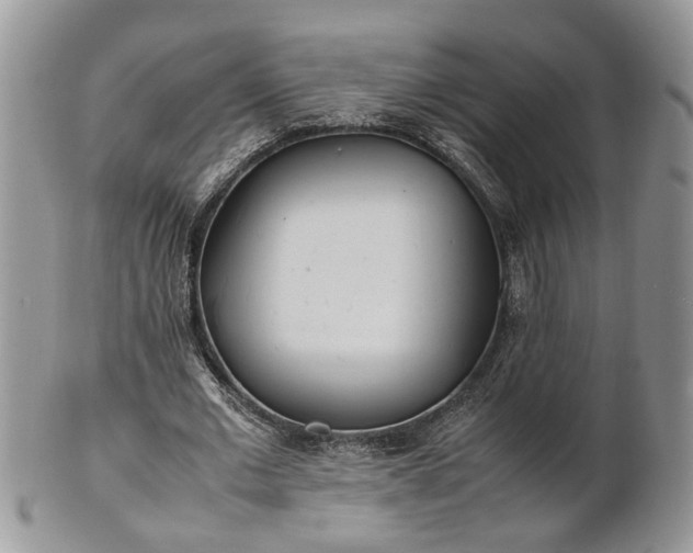 X0000101220677200807071348
