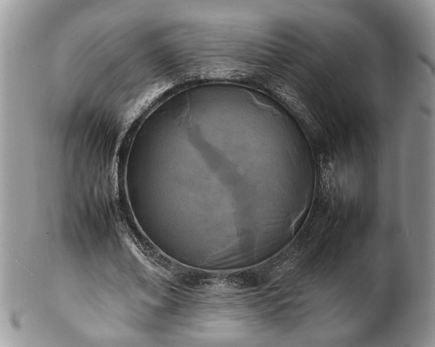 X0000101220678200807071348