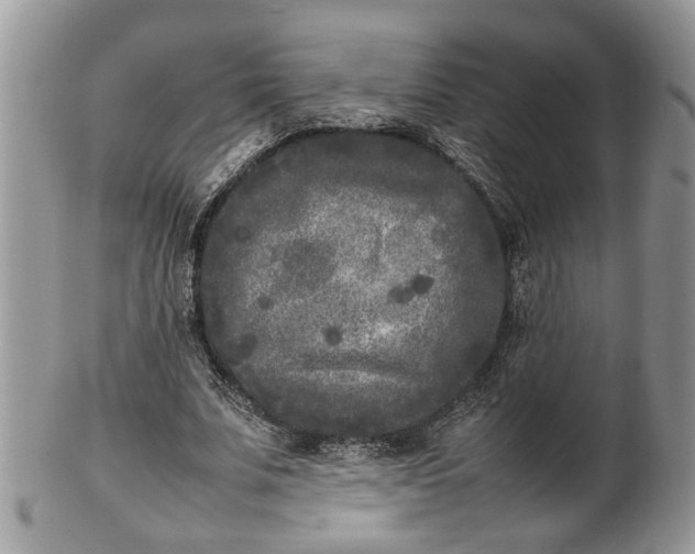 X0000101220679200807071348