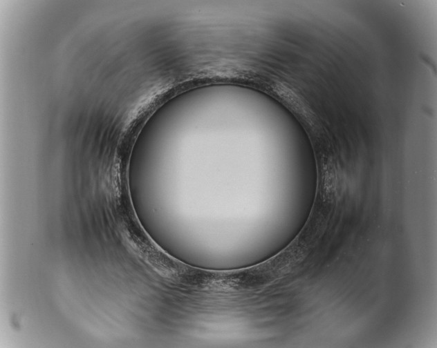 X0000101220680200807071348