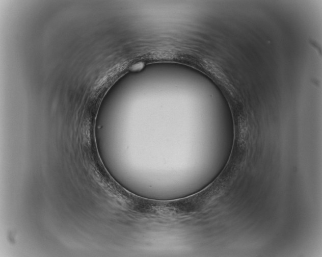 X0000101220681200807071348