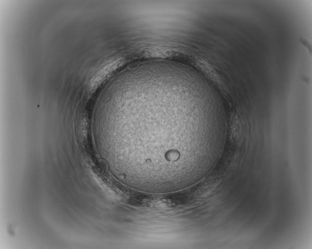 X0000101220683200807071348