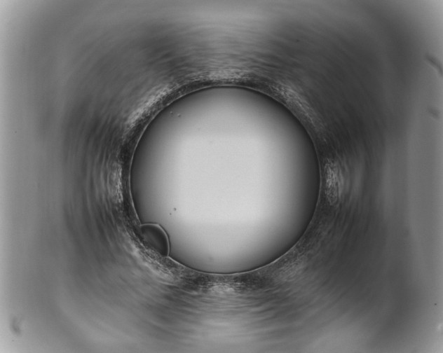 X0000101220684200807071348