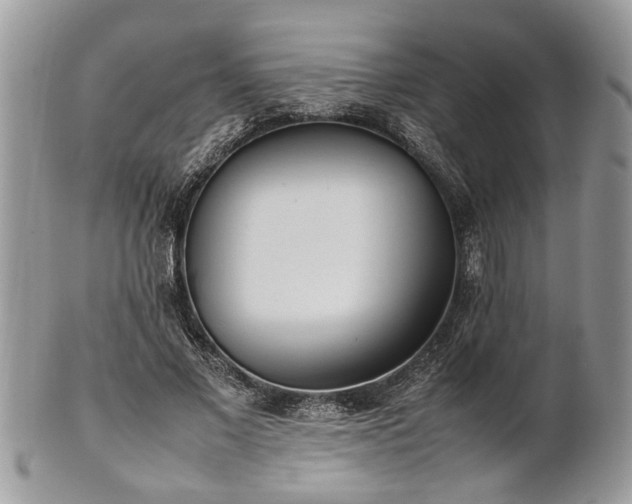 X0000101220685200807071348