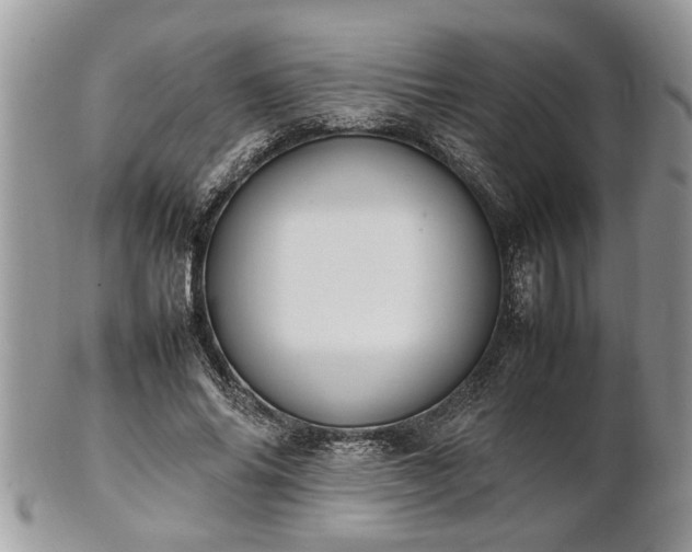 X0000101220686200807071348