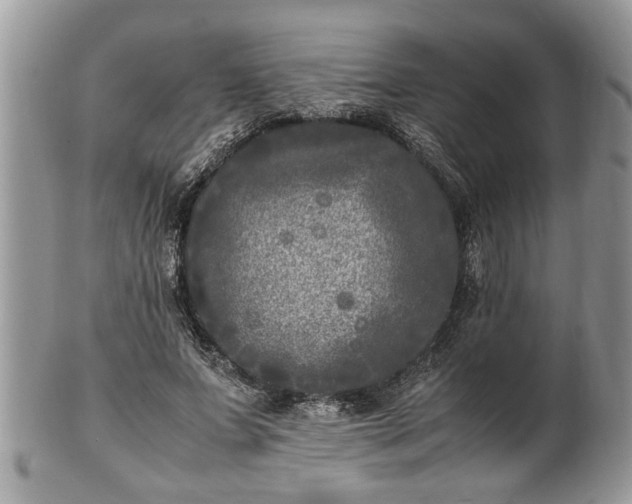 X0000101220687200807071348