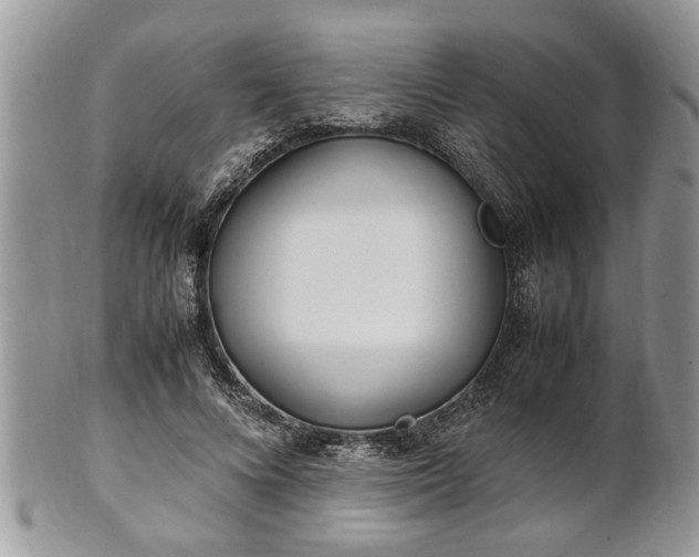 X0000101220688200807071348