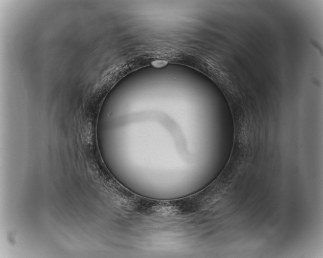 X0000101220689200807071348