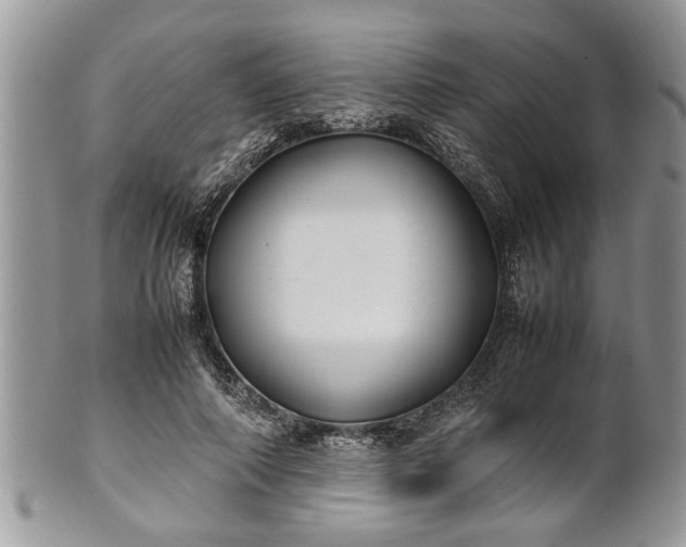 X0000101220690200807071348