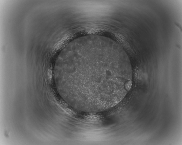 X0000101220691200807071348