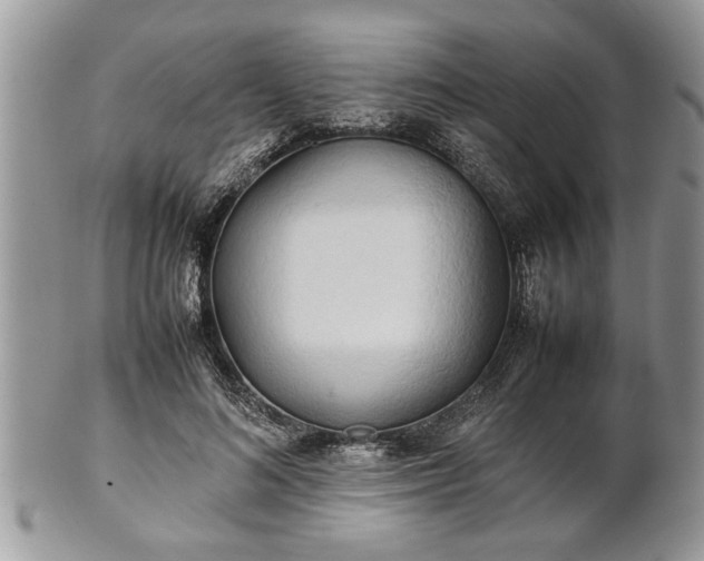 X0000101220692200807071348