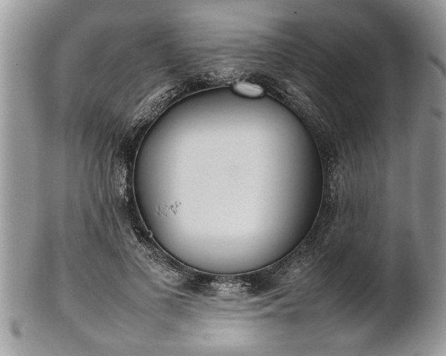 X0000101220693200807071348
