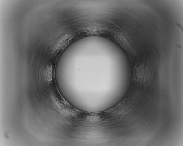 X0000101220694200807071348