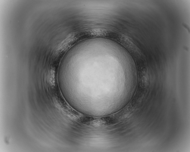 X0000101220696200807071348