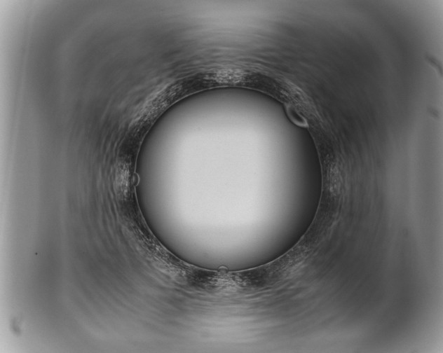 X0000101220697200807071348