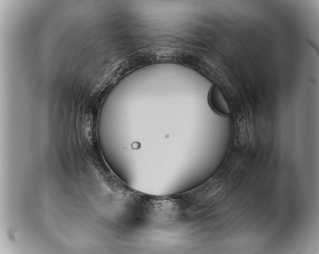 X0000101220698200807071348