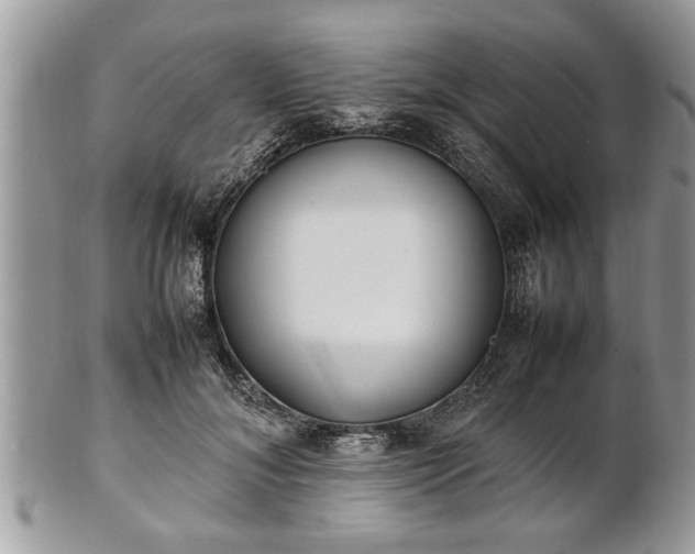 X0000101220700200807071348