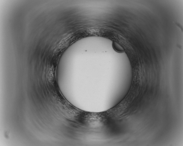 X0000101220702200807071348