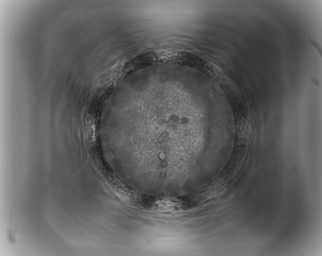X0000101220703200807071348