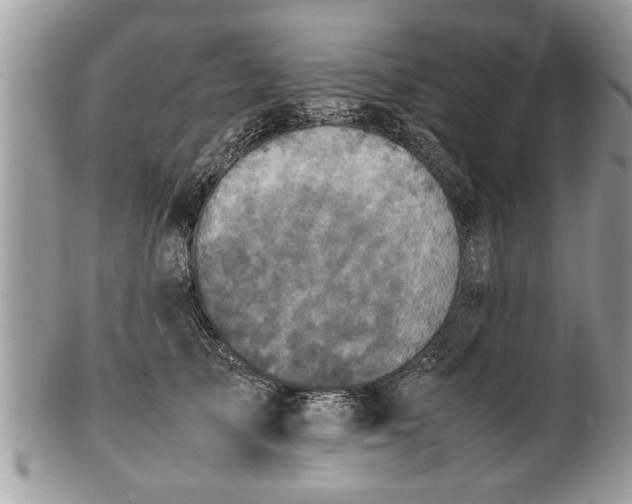 X0000101220705200807071348