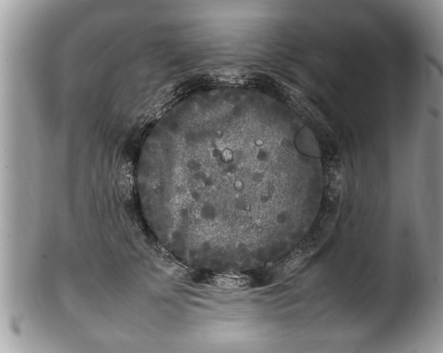 X0000101220707200807071348