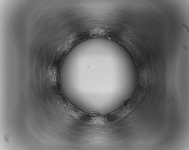 X0000101220708200807071348