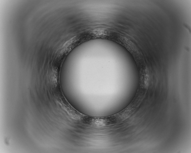 X0000101220710200807071348